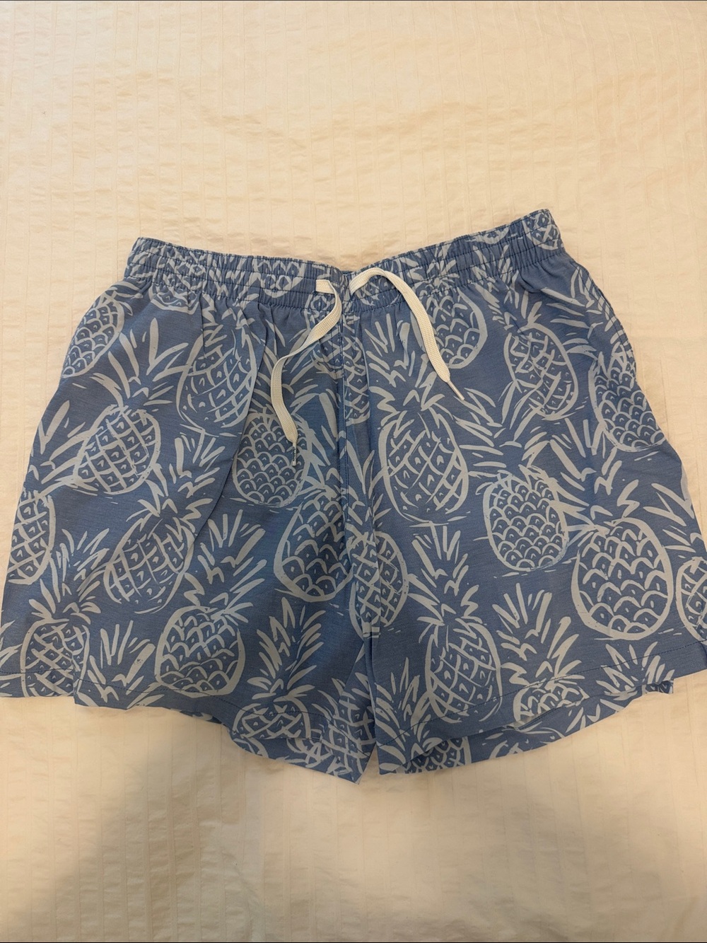 chubbies Blue Pineapple Swim Shorts